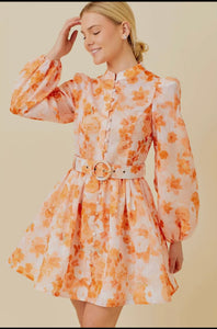 The Poppy Floral Dress